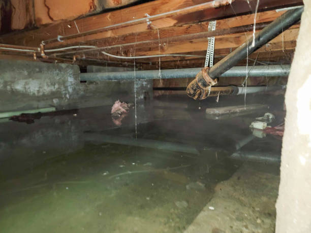 Best Fire Damage Restoration  in Bartonvle, IL