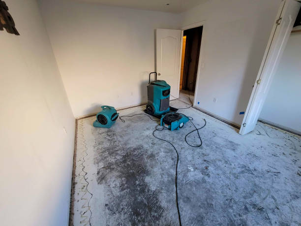 Best Local water damage restoration  in Bartonvle, IL