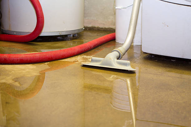 Best Water damage restoration company  in Bartonvle, IL