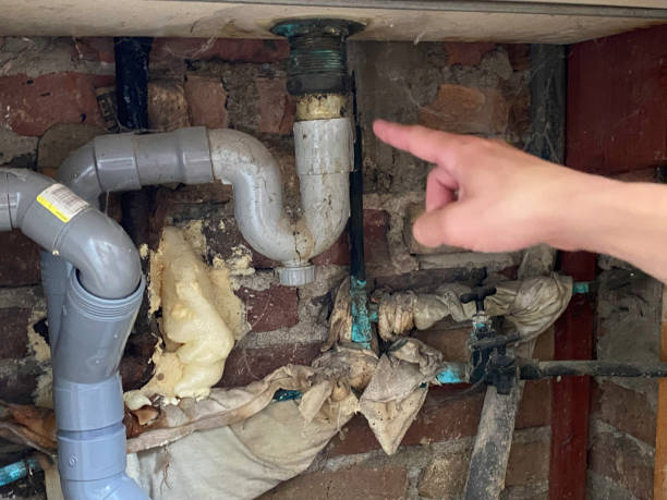 Best Water damage restoration near me  in Bartonvle, IL
