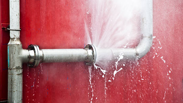 Best Flood restoration services  in Bartonvle, IL